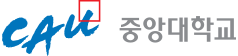 중앙대학교